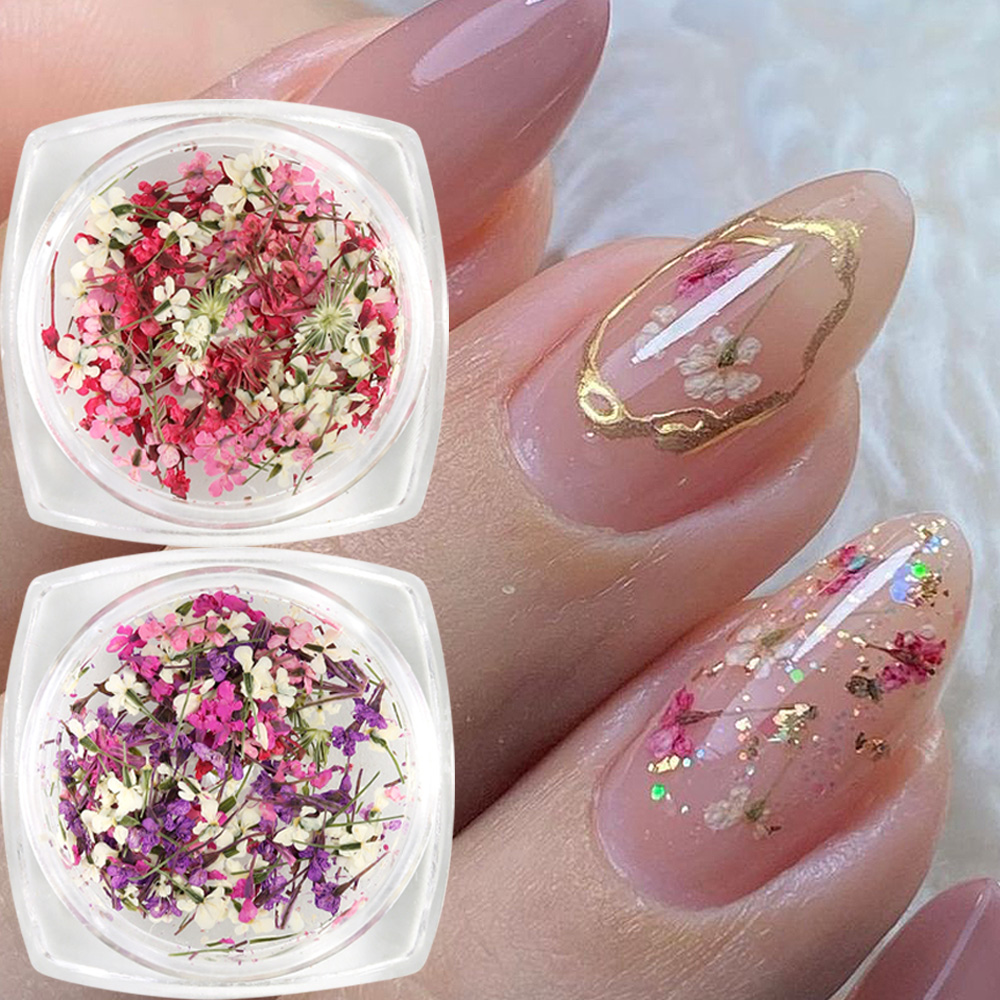 Mixed Colors Gypsophila False  - Dried Flower Bulk のレビューと価格