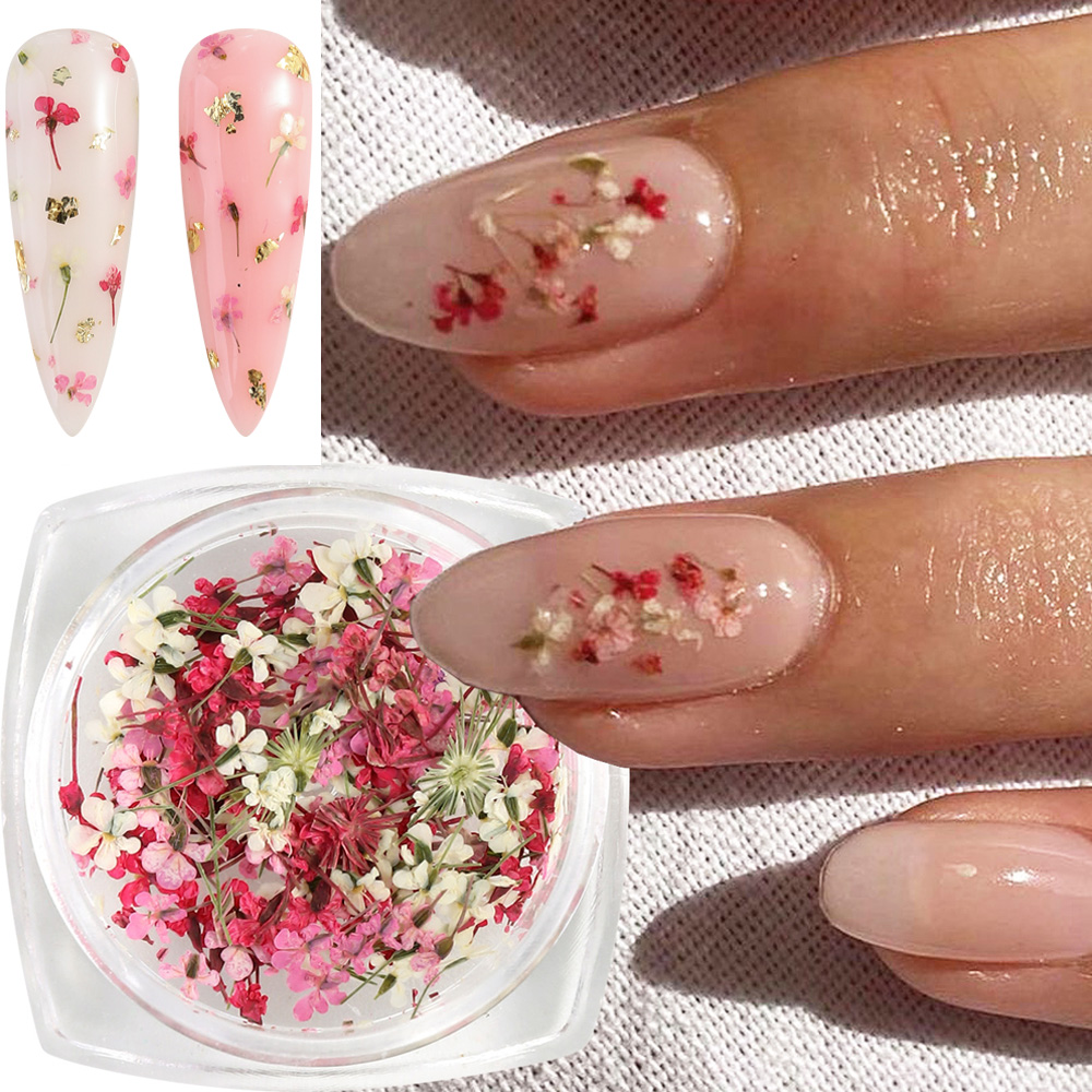 Mixed Colors Gypsophila False  - Dried Flower Bulk のレビューと価格