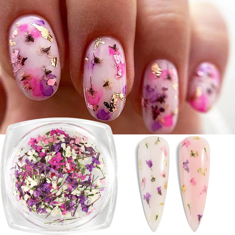 Mixed Colors Gypsophila False  - Dried Flower Bulk のレビューと価格