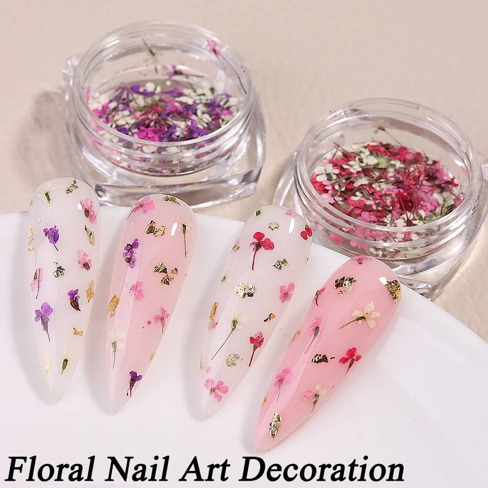 Mixed Colors Gypsophila False  - Dried Flower Bulk のレビューと価格