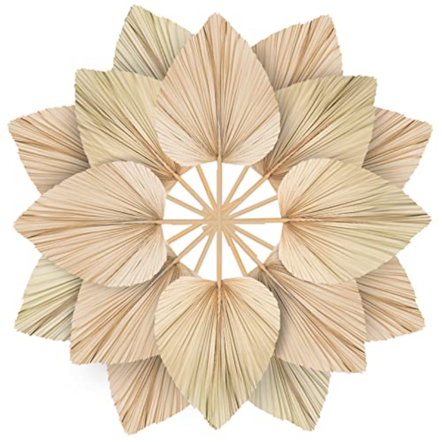 10 Large Bulk Boho Dried Palm  - Dried Flower Bulk のレビューと価格