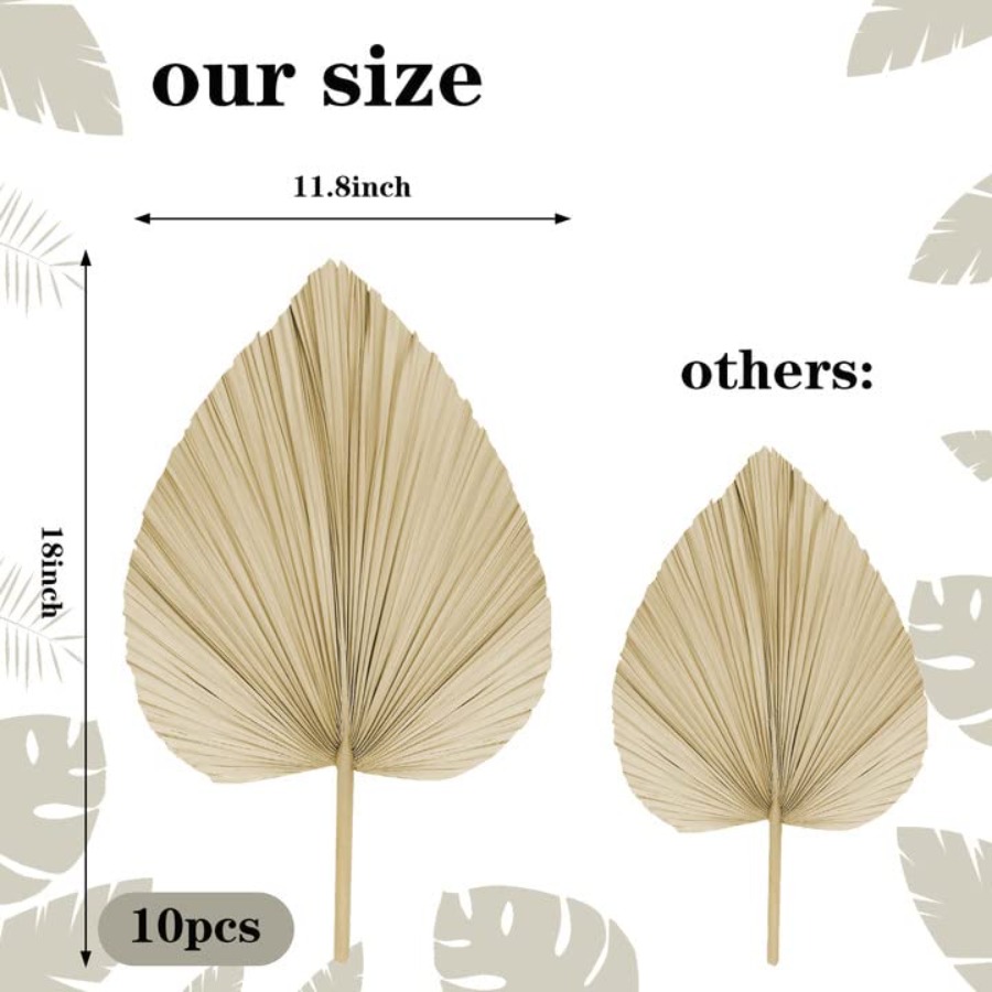 10 Large Bulk Boho Dried Palm  - Dried Flower Bulk のレビューと価格