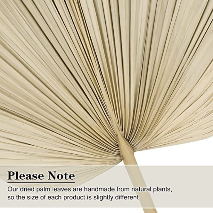 10 Large Bulk Boho Dried Palm  - Dried Flower Bulk のレビューと価格