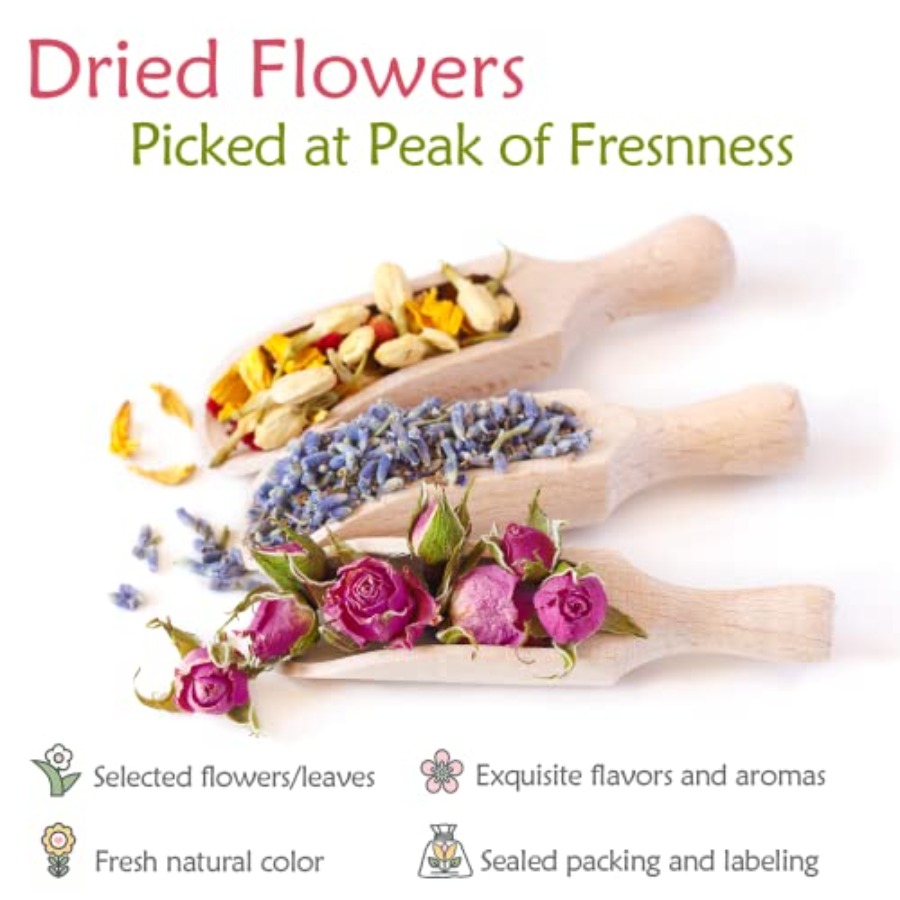 Latest] Pack Dried Flowers for - Dried Flower Bulk のレビューと価格