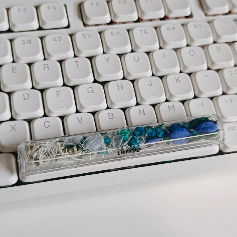 Spacebar Keycap Custom Preserv - Flower Preservation Resin のレビューと価格
