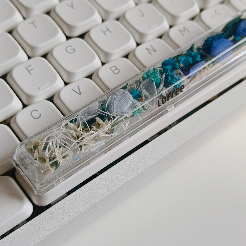 Spacebar Keycap Custom Preserv - Flower Preservation Resin のレビューと価格