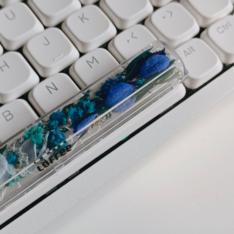 Spacebar Keycap Custom Preserv - Flower Preservation Resin のレビューと価格