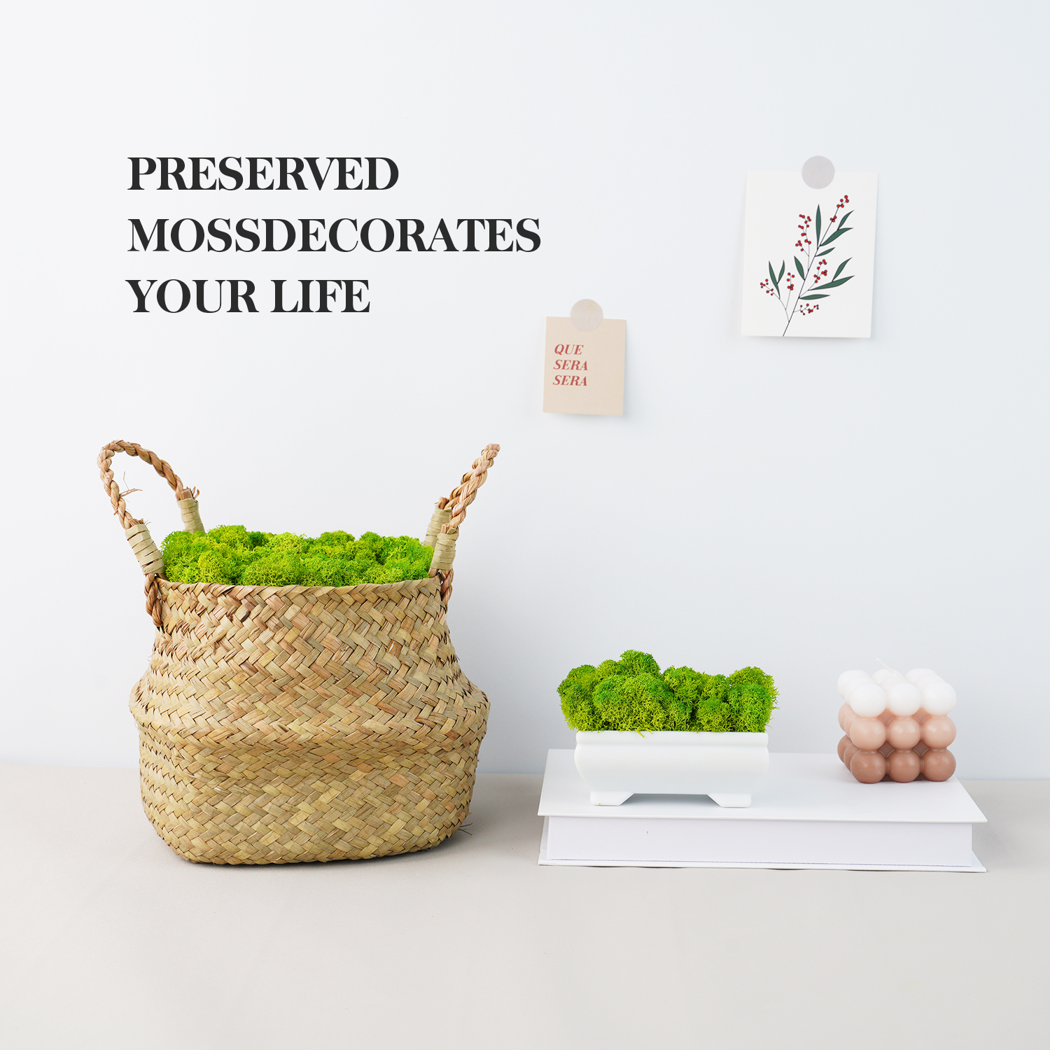 20g Artificial Green Plants Et - Terrarium Moss Art のレビューと価格