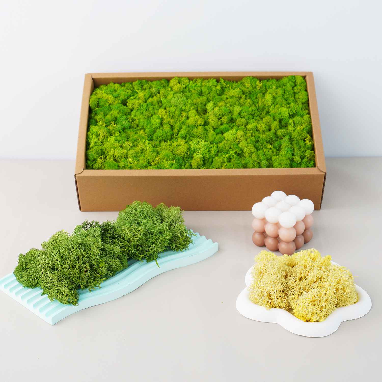 20g Artificial Green Plants Et - Terrarium Moss Art のレビューと価格