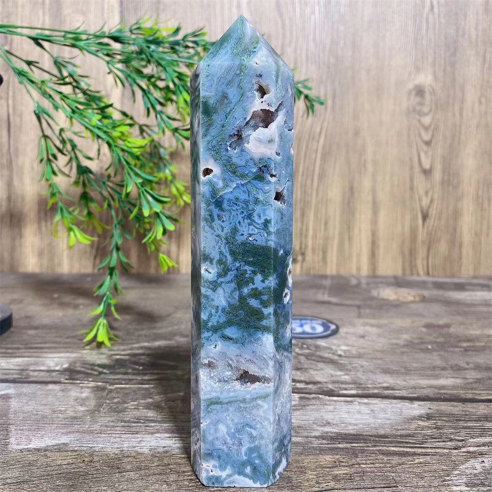 Big Green Moss Agate Druzy Nat - Terrarium Moss Art のレビューと価格