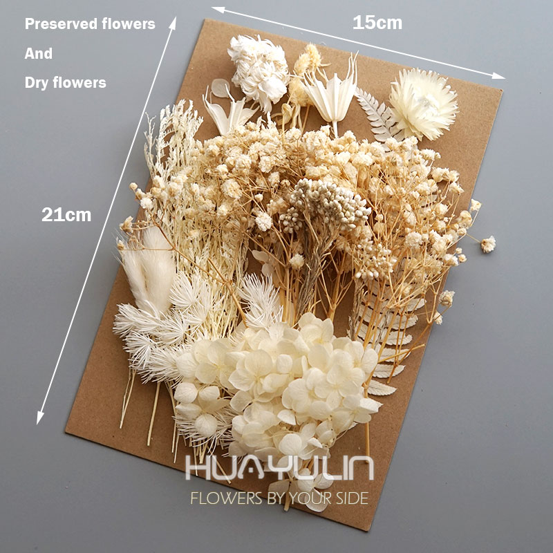 1 Pack Artificial Plants Dried - Dried Flower Bulk のレビューと価格
