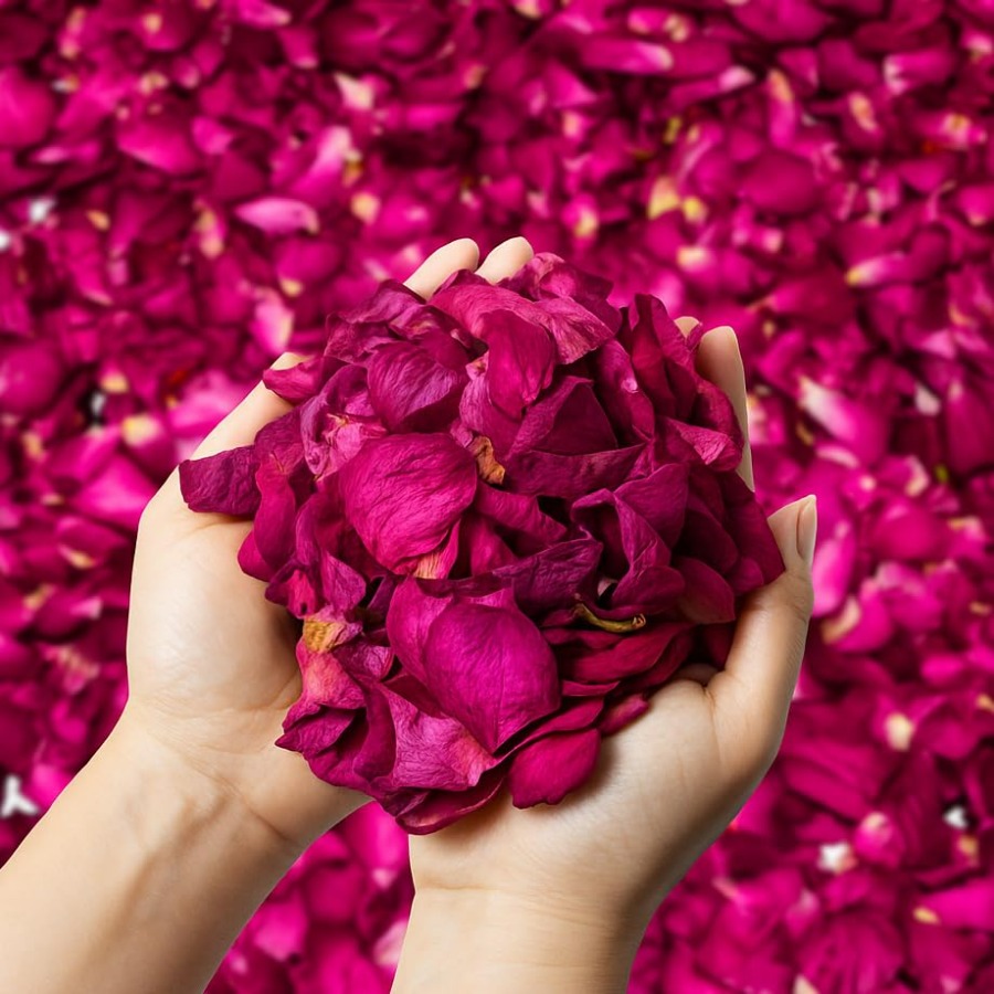Dried Rose Petals Bulk 5oz Nat - Dried Flower Bulk のレビューと価格