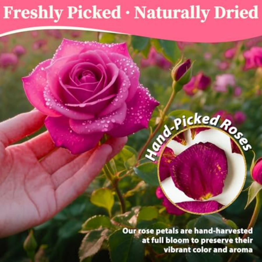 Dried Rose Petals Bulk 5oz Nat - Dried Flower Bulk のレビューと価格